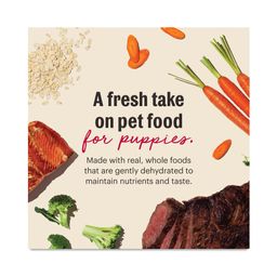 Wholemade Whole Grain Beef & Salmon Dehydrated Puppy Food