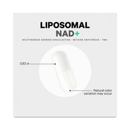 Liposomal NAD+