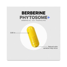 Berberine Phytosome+ (60 servings)