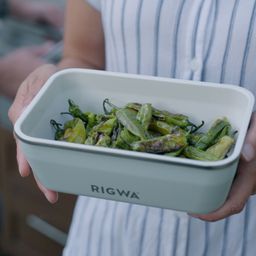 Bento Box Kit 7x4, Sage