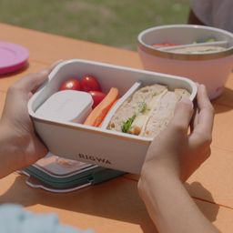 Bento Box Kit 7x4, Sage