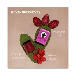 Cactus Body Polish, Hibiscus
