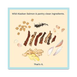 Wild Alaskan Sea Salt Sockeye Salmon Jerky