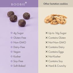 Lactation Oat Cookie Bites, Brownie Fudge