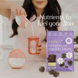 Lactation Oat Cookie Bites, Brownie Fudge