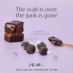 Lactation Oat Cookie Bites, Brownie Fudge