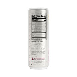 Organic Social Tonic, Apple Cinnamon