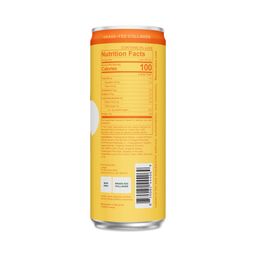 Sparkling Protein, Orange