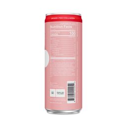 Sparkling Protein, Strawberry Vanilla