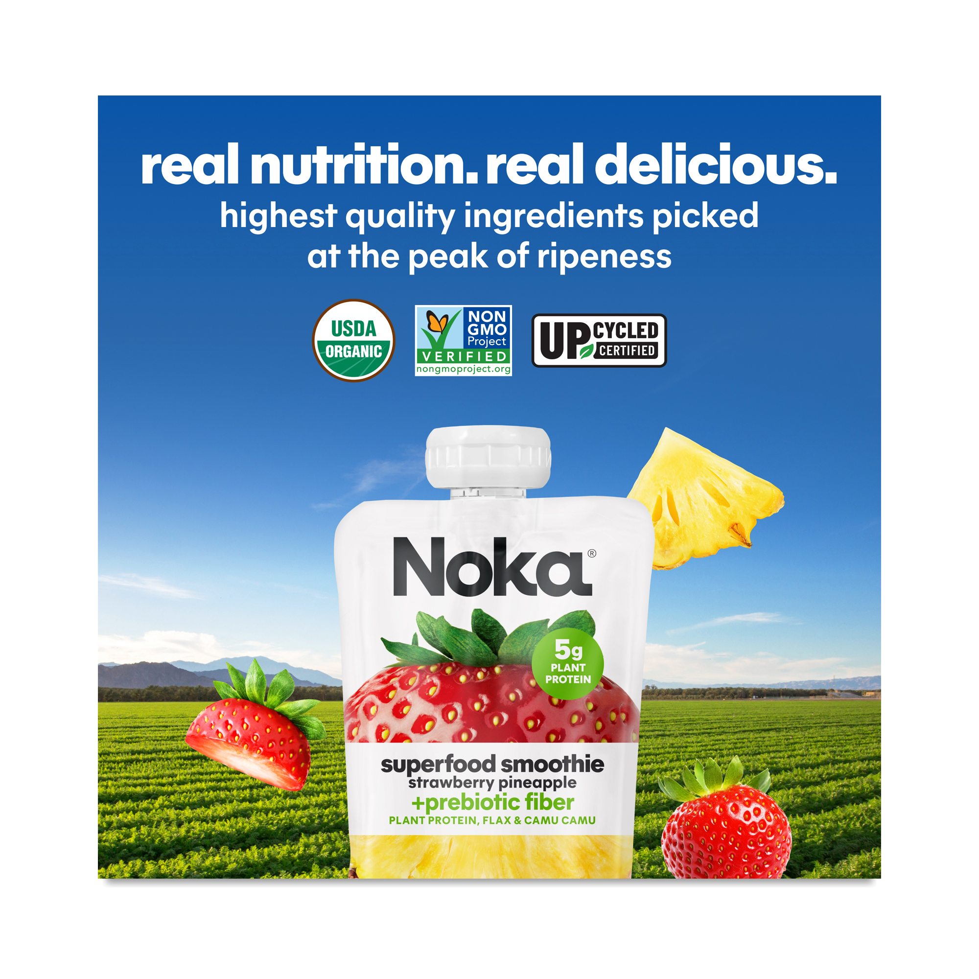 NOKA Organic Superfood Smoothie, Strawberry Pineapple | Thrive Market