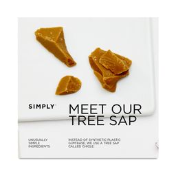 Natural Chewing Gum, Ginger