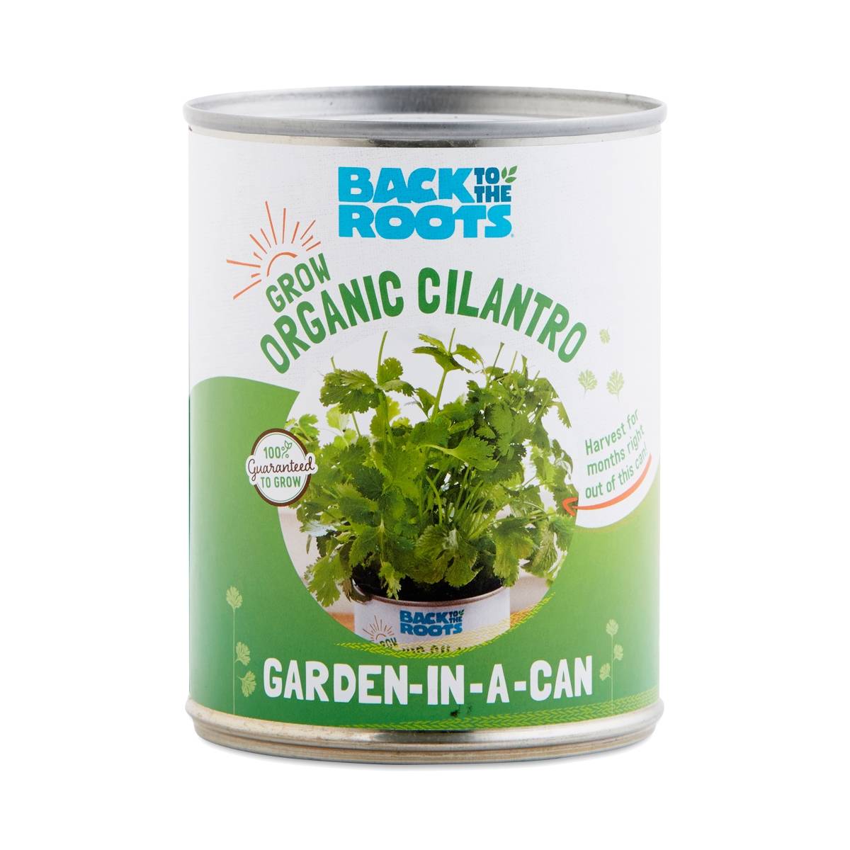Cilantro Garden in a Can by Back to the Roots - Thrive Market