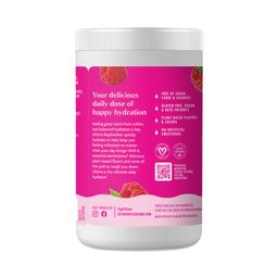 Replenisher Electrolyte Powder, Raspberry