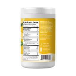 Replenisher Electrolyte Powder, Lemonade