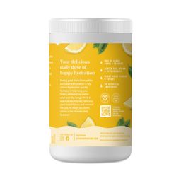 Replenisher Electrolyte Powder, Lemonade