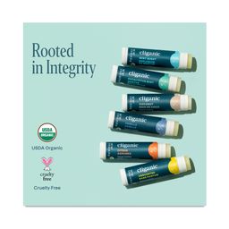 Organic Lip Balm Set, Rainforest Fresh