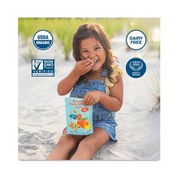 Organic Smoothie Melts, Mango Carrots