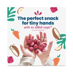 Organic Smoothie Melts, Carrot Raspberry