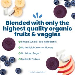 Organic Fruit Bites, Blueberry