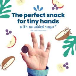 Organic Fruit Bites, Blueberry