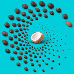 Dark Chocolate Coconut Almonds