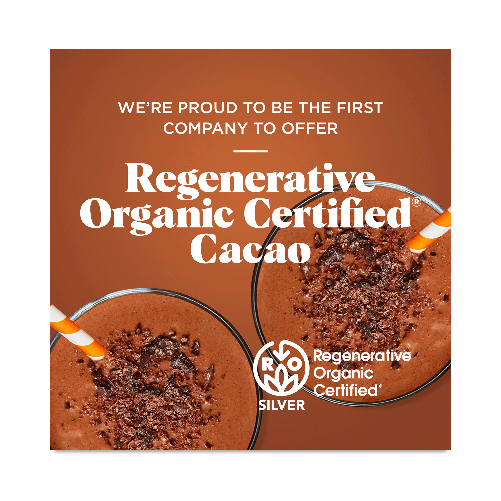 Organic Cacao Powder by Navitas Organics | Thrive Market