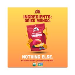 Organic Dried Mango