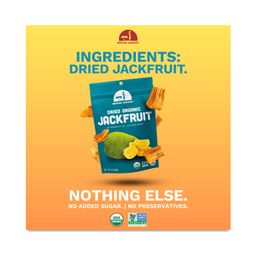 Organic Dried Jackfruit