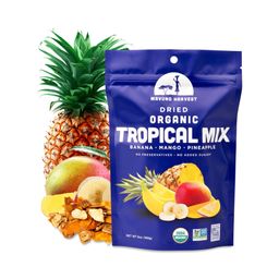 Organic Dried Tropical Mix
