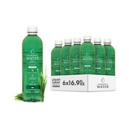 Enhanced Purified Water Beverage