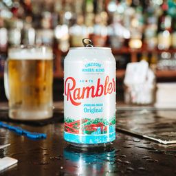 Sparkling Mineral Water, Original