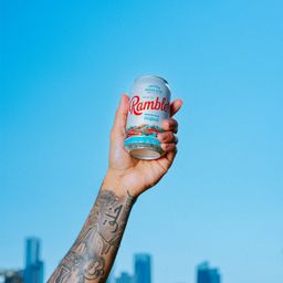 Sparkling Mineral Water, Original