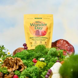 Wonder Day Mushroom Gummies, Wild Raspberry