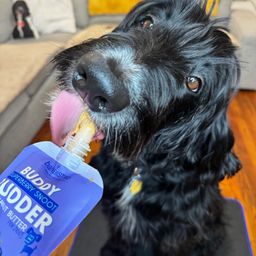 Buddy Budder Superberry Snoot Peanut Butter for Dogs