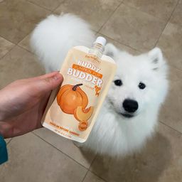 Buddy Budder Pumpkin Pup Peanut Butter for Dogs