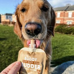 Buddy Budder Ruff Ruff Raw Peanut Butter for Dogs