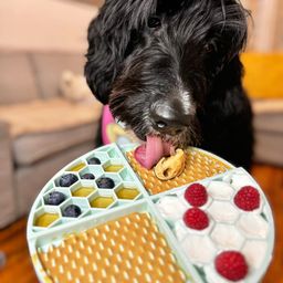 Buddy Budder Ruff Ruff Raw Peanut Butter for Dogs