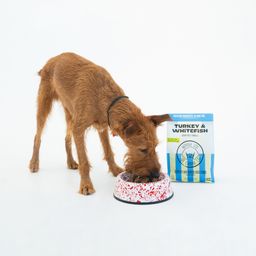 Gently Air-Dried Dog Food, Turkey & Whitefish