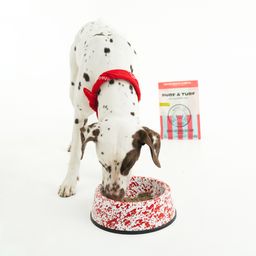 Gently Air-Dried Dog Food, Surf & Turf