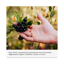 Superfood Antioxidant Drink, Mango, Lime & Aronia Berry