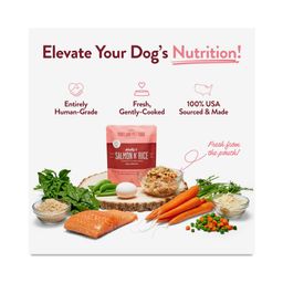 Wallys Salmon N' Rice Homesylte Dog Meal