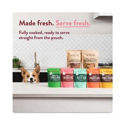 Wallys Salmon N' Rice Homesylte Dog Meal