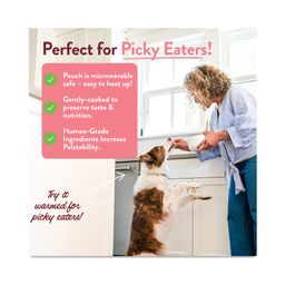 Wallys Salmon N' Rice Homesylte Dog Meal