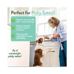 Rosie's Beef N' Rice Homestyle Dog Meal