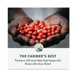 Regenerative Organic Whole Bean Coffee, Peru Medium Roast