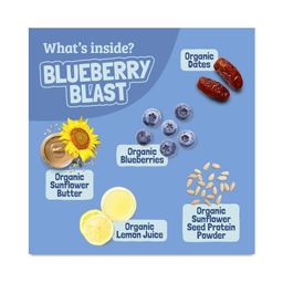 Kids Snack Bar, Blueberry Blast