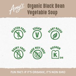 Black Bean Vegetable Soup