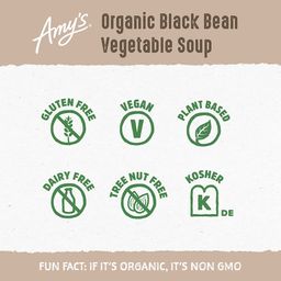 Black Bean Vegetable Soup