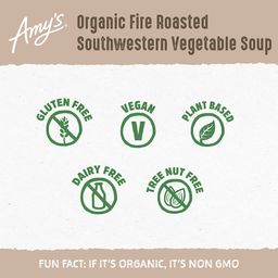 Fire Roasted Southwest Vegetable Soup