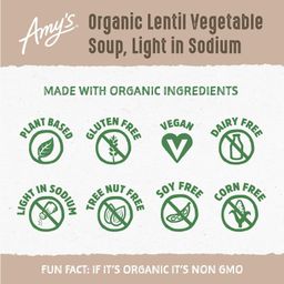 Lentil Vegetable Soup, Low in Sodium